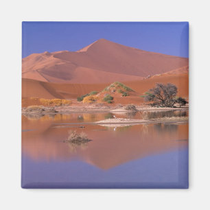 Íman África, Namíbia. Parque Namib-Naukluft. 2