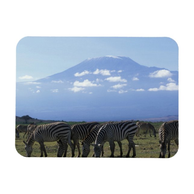 Íman África, Quênia, Parque Nacional de Amboseli, Herd  (Horizontal)