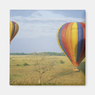 Íman África, Quênia, Reserva Nacional Masai Mara,