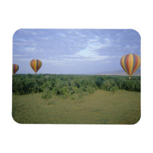 Íman África, Quênia, Reserva Nacional Masai Mara, 2