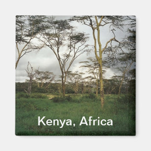 Íman África Quênia terra selvagem