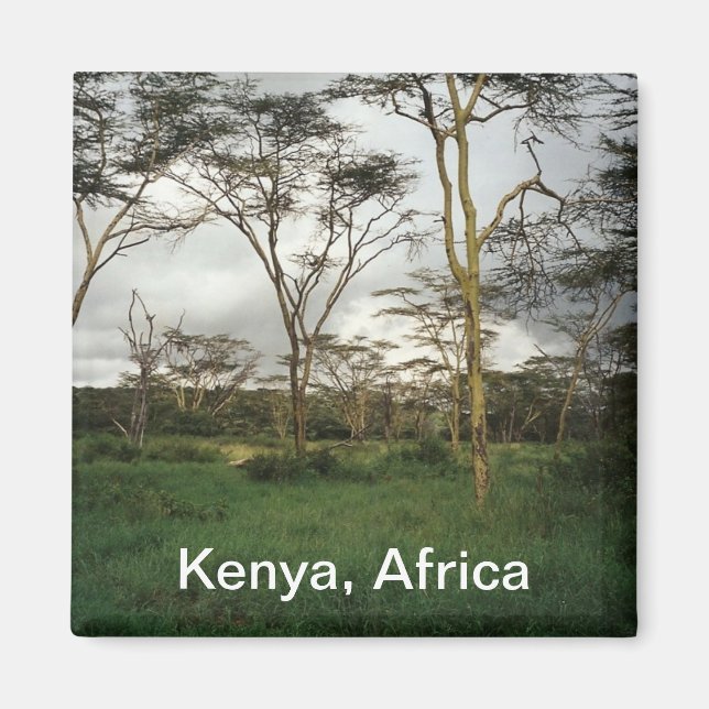 Íman África Quênia terra selvagem (Frente)