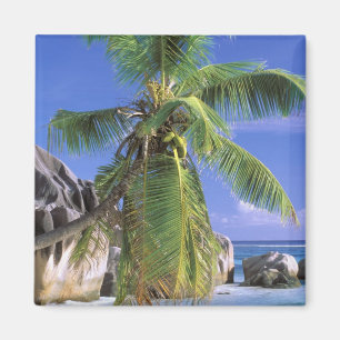 Íman África, Seychelles, Ilha La Digue. Granito 2