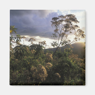 Íman África, Tanzânia, zona de conservação de Ngoro