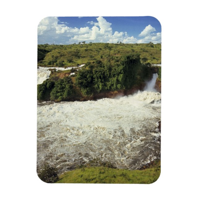 Íman África, Uganda, Murchison Falls NP. A testa (Vertical)