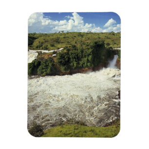 Íman África, Uganda, Murchison Falls NP. O frio