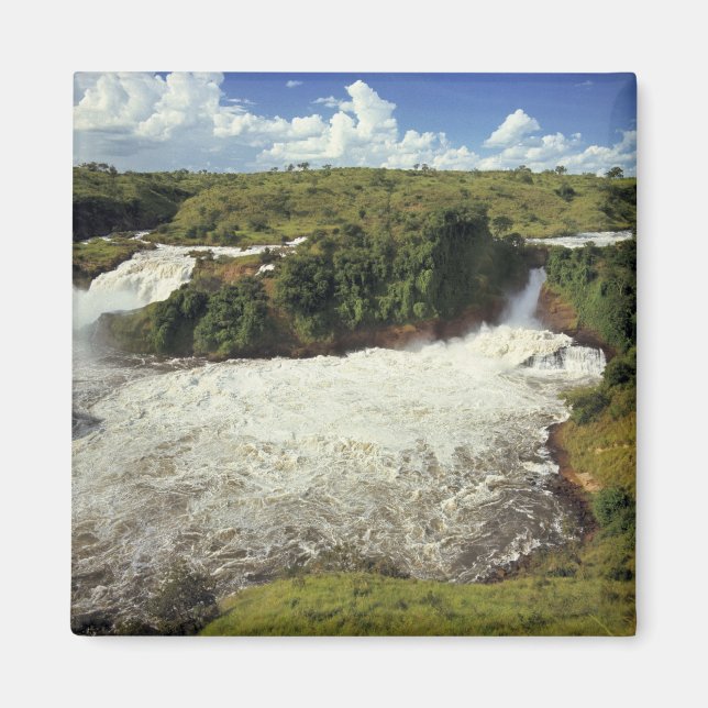 Íman África, Uganda, Parque Nacional Murchison Falls. A (Frente)