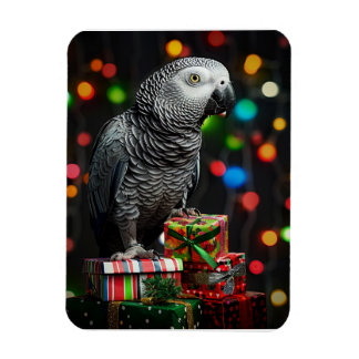 Íman African Grey on Gifts — Festive Greeting Card