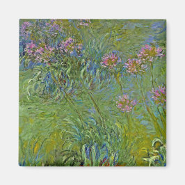 Íman Agapanthus Flowers (por Claude Monet)