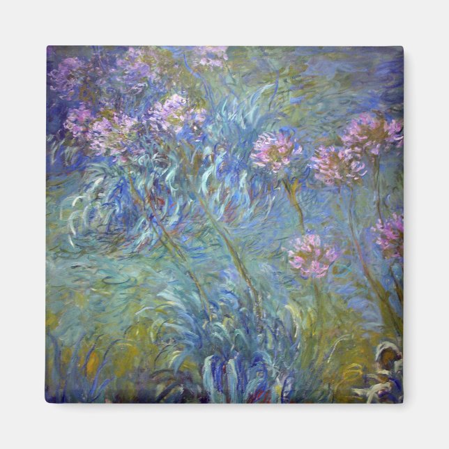 Íman Agapanthus, Monet (Frente)