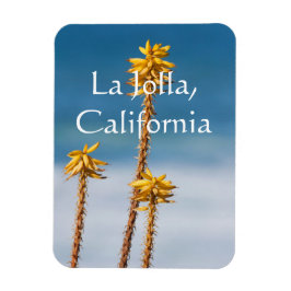 Íman Agave perto do oceano La Jolla, Califórnia