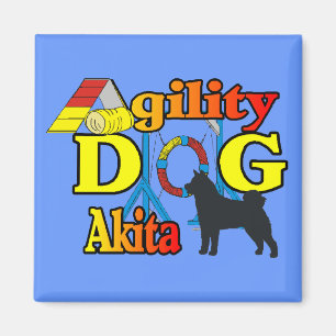 Íman Agilidade Akita