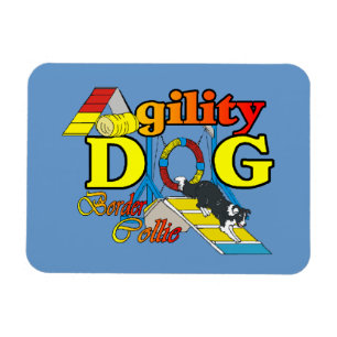 Íman Agilidade de border collie