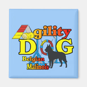 Íman Agilidade dos presentes malinois belgas