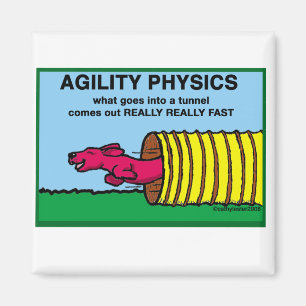 Íman AgilityPhysics