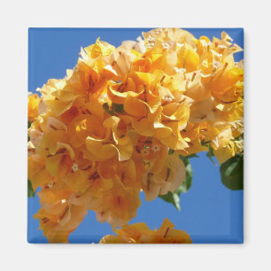 Íman Aglomerado Floral Tropical de Bougainvillea Dourad