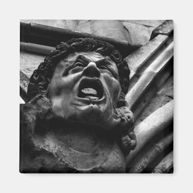 Íman Agonia do Biting Imps Gothic Gargoyle (Frente)