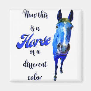 Íman Agora Isto É Um Cavalo De Uma Cor Diferente Em Azu