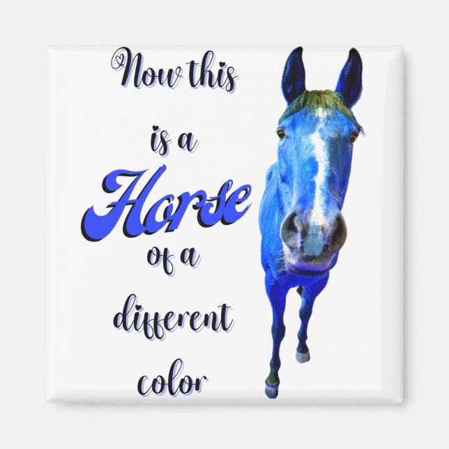 Íman Agora Isto É Um Cavalo De Uma Cor Diferente Em Azu (Frente)