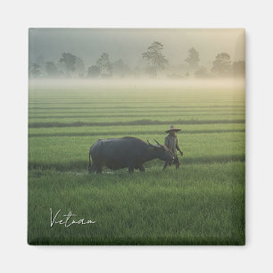 Íman Agricultor com Viagem do Vietnã Buffalo