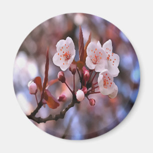 Íman Agrupamento de Flores de Cereja com Cor-de-Rosa e 