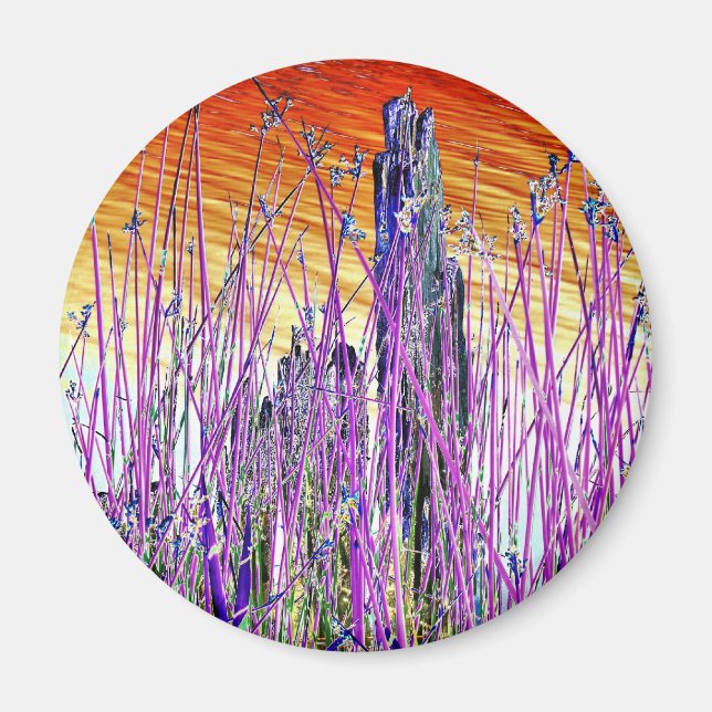 ÍMAN ÁGUA (Frente)