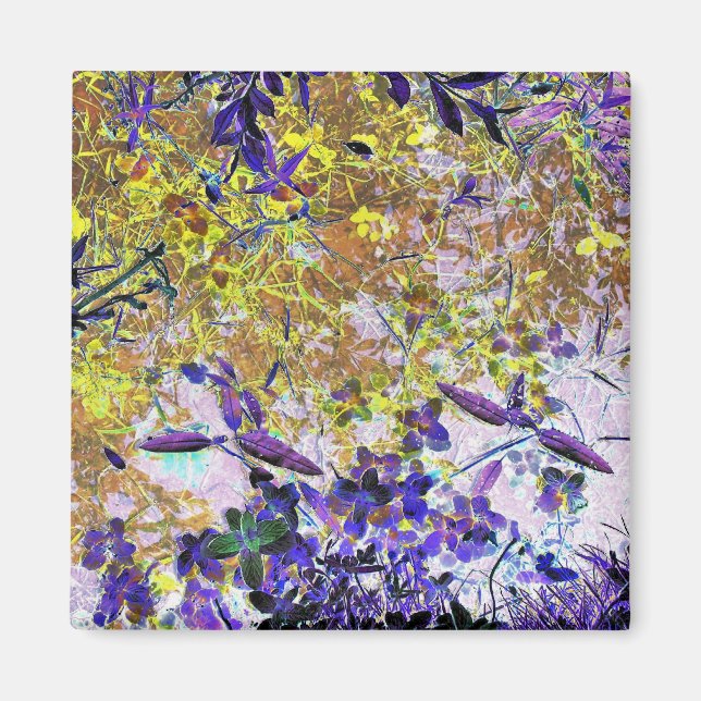 ÍMAN ÁGUA (Frente)