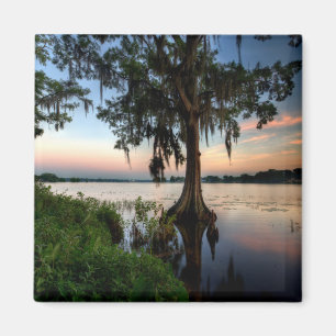 Íman Água Kraft Azalea Park Maitland Florida