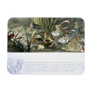 Íman Água-Lírios e fadas da água, ilustração de