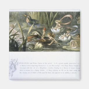 Íman Água-Lírios e fadas da água, ilustração de