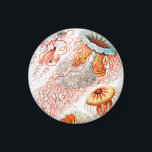 Íman Água-viva, Disco de Ernst Haeckel<br><div class="desc">Água-viva,  Disco Scheibenquallen por Ernst Haeckel Magnet</div>