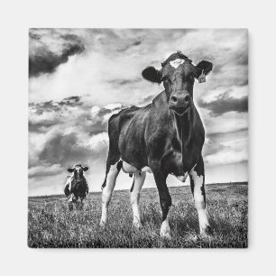 Íman Aguardando Recorte BW