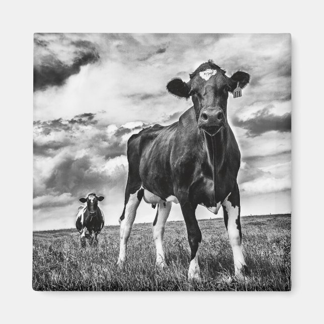 Íman Aguardando Recorte BW (Frente)