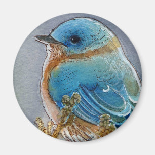 Íman Aguarela do Bluebird