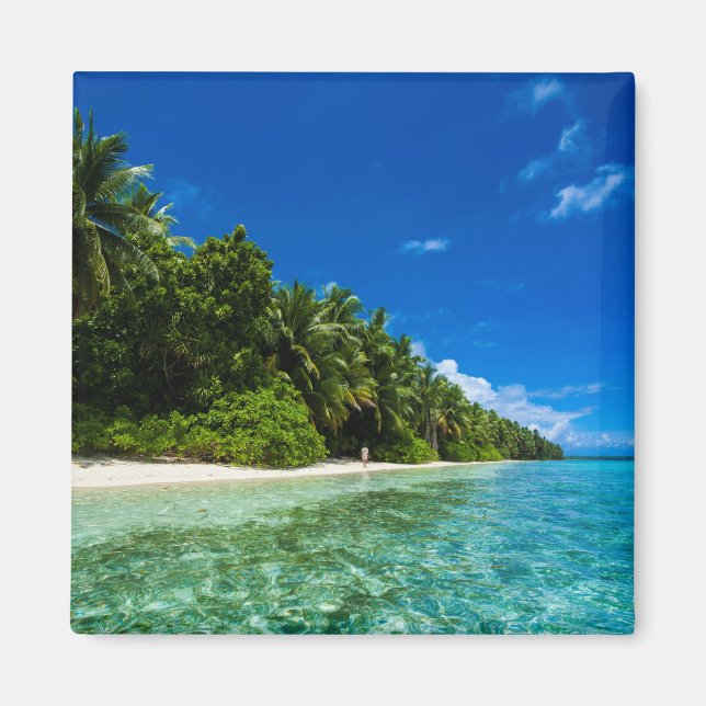 Íman Águas Azuis de uma Praia Tropical (Frente)