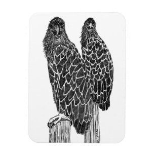 ÍMAN ÁGUAS ESCASADAS SE DIVERTIRAM E PESCANDO NA ÁREA