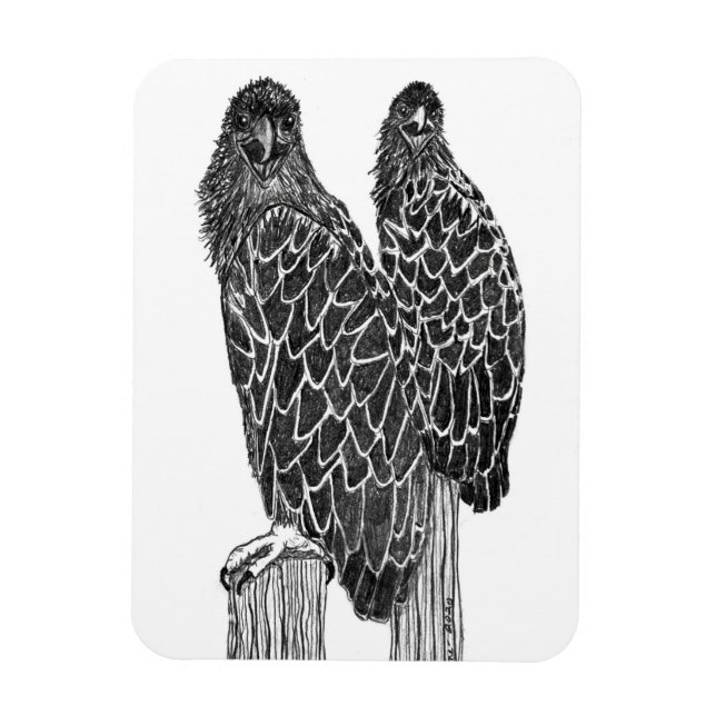 ÍMAN  ÁGUAS ESCASADAS SE DIVERTIRAM E PESCANDO NA ÁREA (Vertical)