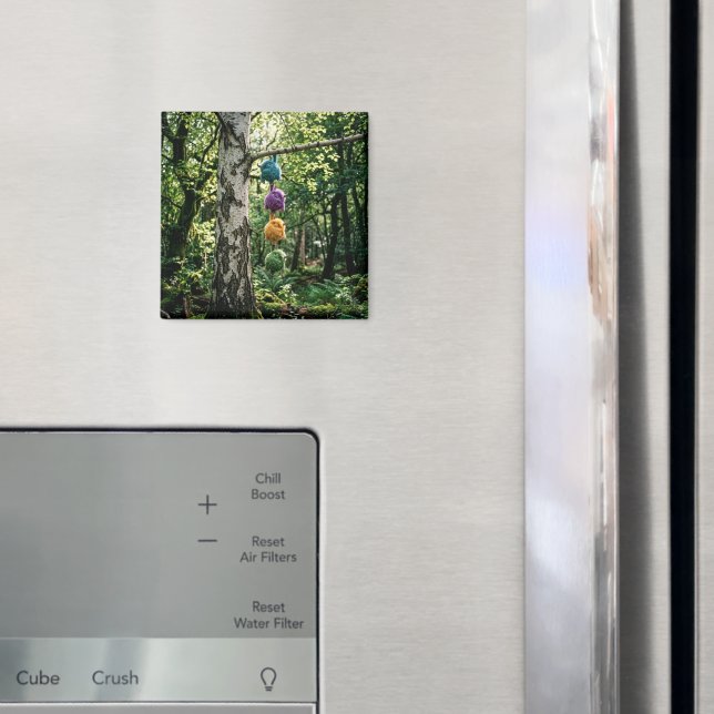Íman Aguente Firme (In Situ (Fridge))
