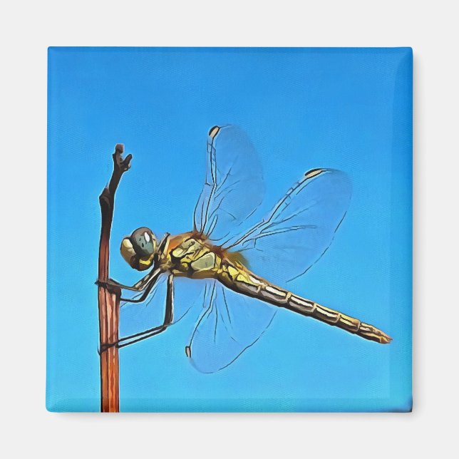 Íman Aguente Lá, Dragonfly Artística (Frente)