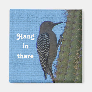 Íman Aguente-se aí encorajando o Cactus Foto Pica-Pau