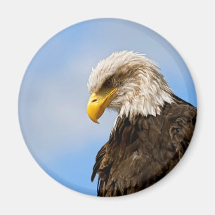 Íman Águia Americana