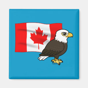 Íman Águia americana canadense