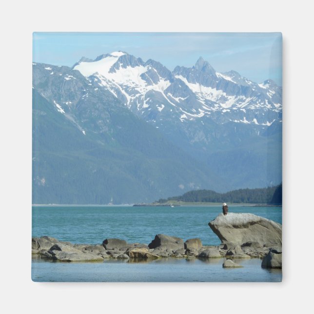 Íman Águia-careca em Skagway Alasca (Frente)