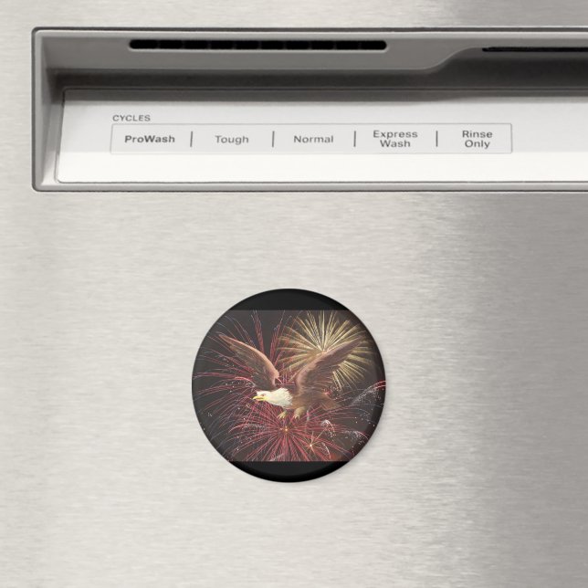 Íman Águia e fogos de artifício (In Situ (Dishwasher))