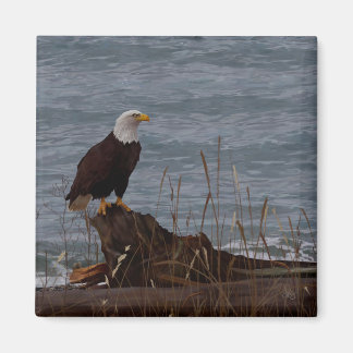 Íman Águia em South Beach