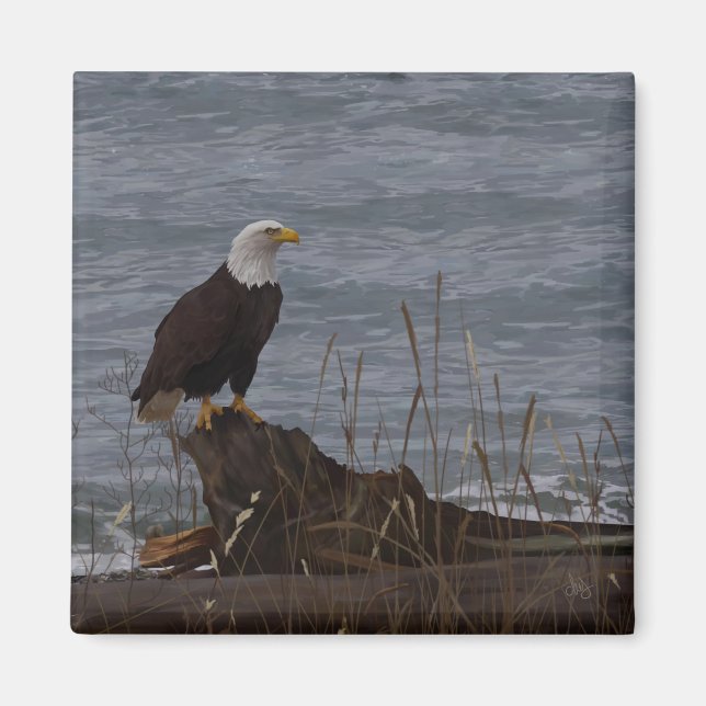 Íman Águia em South Beach (Frente)