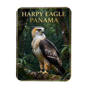 Íman 🦅 Águia Harpia Panamá Pássaro da Floresta Tropica