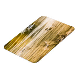 Íman Agulhas voadoras - abstrato