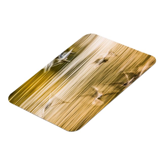 Íman Agulhas voadoras - abstrato (Left Side)