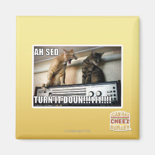 Íman Ah volta do Sed ele para baixo!!